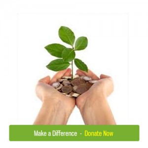donate2